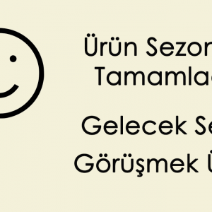 Bursa Siyahı Siyah İncir Kg