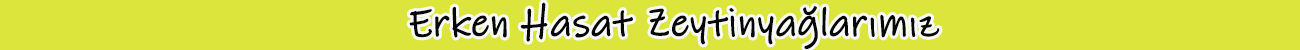 Slider2