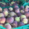 CWEP2998 Bahçe'den Bursa Siyahı Siyah İncir 2,5 Kg (1 Kasa)